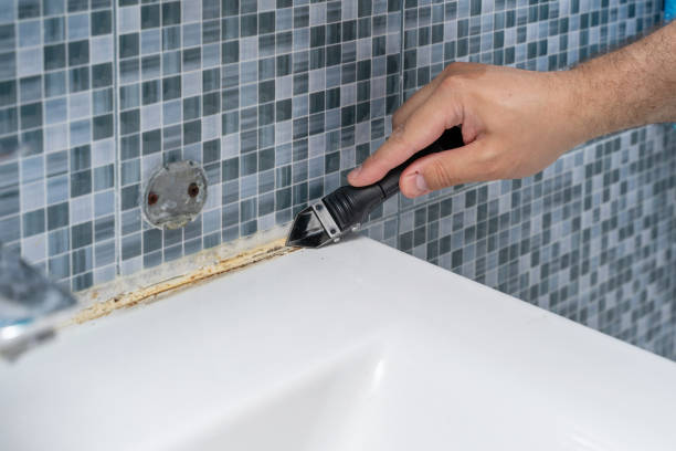 Best Commercial Mold Removal  in Stearns, KY